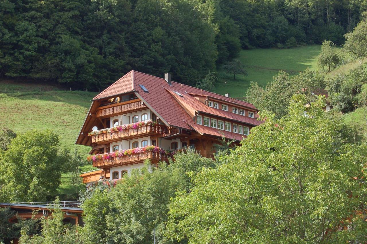 Ehrenmaettlehof Faisst Aparthotel Bad Peterstal-Griesbach Eksteriør bilde