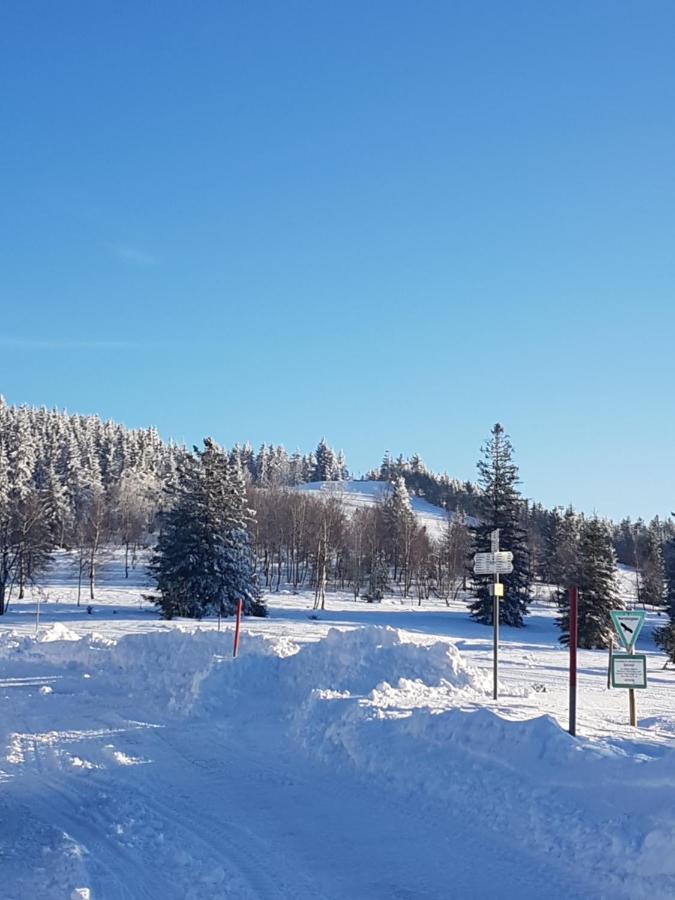 Ehrenmaettlehof Faisst Aparthotel Bad Peterstal-Griesbach Eksteriør bilde